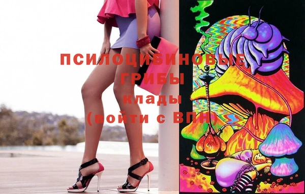 герыч Коряжма