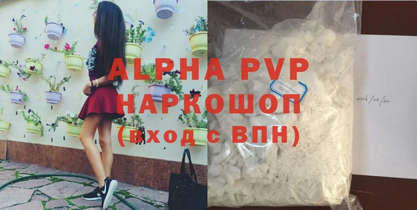 стаф Козельск