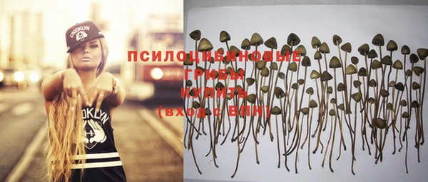 герыч Коряжма