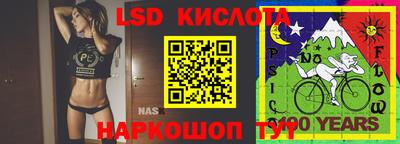 индика Кингисепп