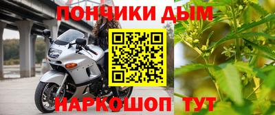индика Кингисепп
