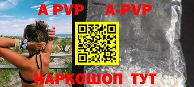 индика Кингисепп