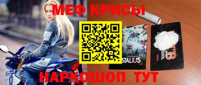 индика Кингисепп