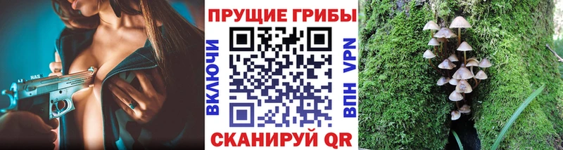 Галлюциногенные грибы GOLDEN TEACHER  Мелеуз 