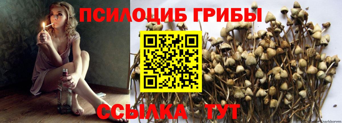 Псилоцибиновые грибы MAGIC MUSHROOMS Мелеуз