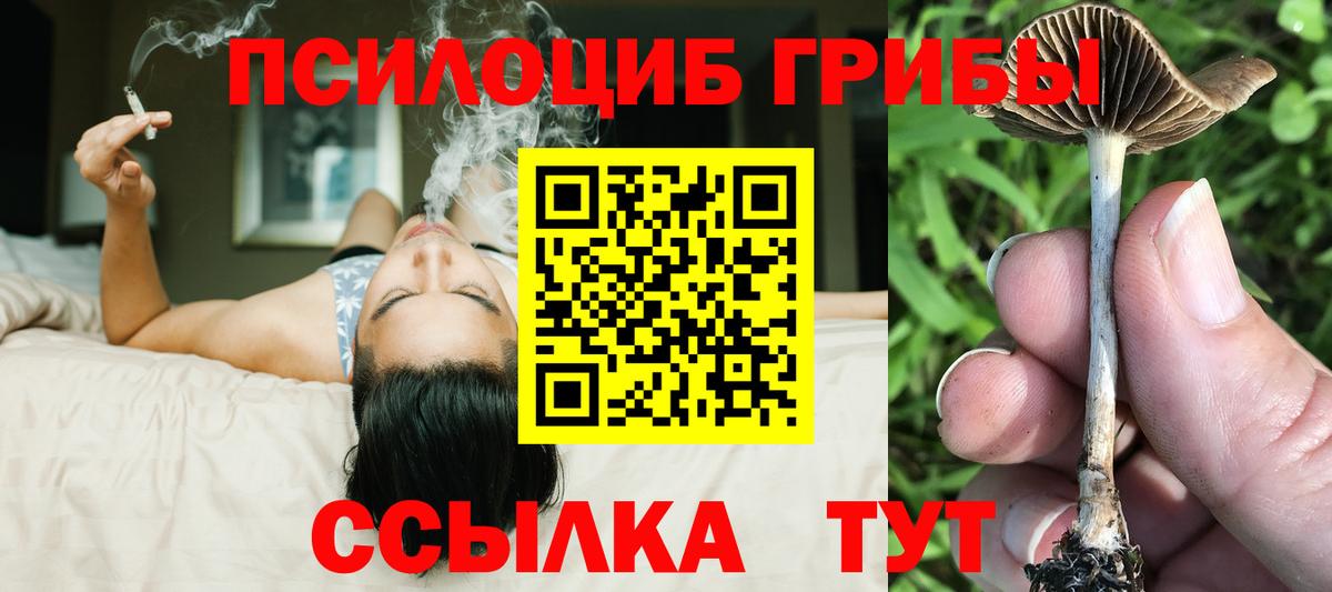 Галлюциногенные грибы Psilocybe  закладки  Мелеуз  Вход с VPN 